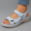 Light Blue / 2